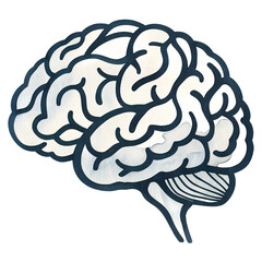 Fototapeta premium Watercolor human brain vector illustration isolated on transparent background 