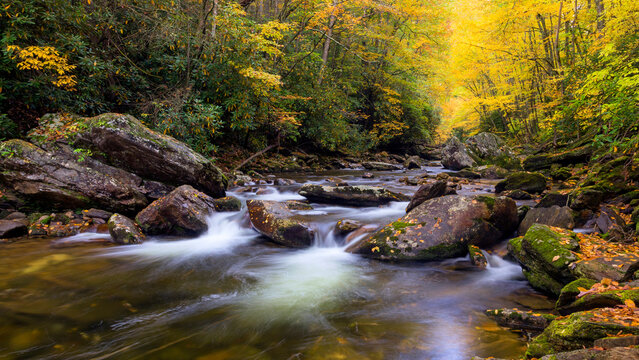 USA, North Carolina. West Fork Pigeon River and forest landscape.