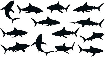 Fototapeta premium Shark Silhouette Collection: A Bold Graphic Art Set