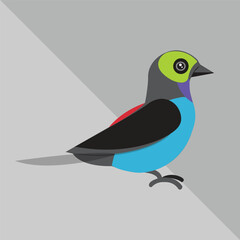Elegant  Vector Illustration on White Background