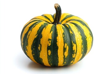 Isolated Small Striped Pumpkin with Stem on White Background for Fall Decor