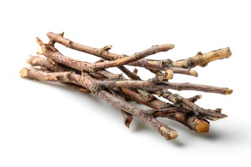 Fototapeta premium Pile of Dry Twigs on White Background for Craft or Decoration
