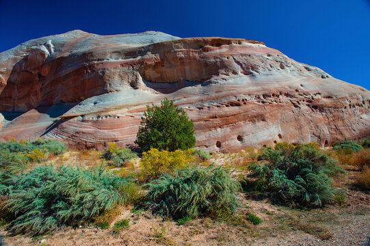 USA, Utah, Kanab, White House Campground and Trailhead Area