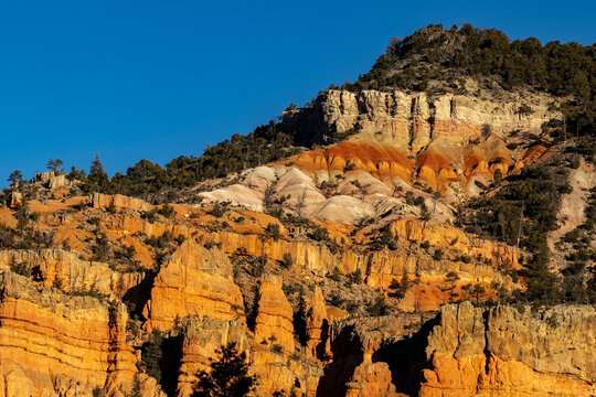 Sandstone formation in Red Canyon in Dixie National Forest, Utah, USA.