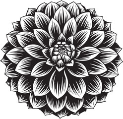 Dahlia Flower Black and White Outline EPS Vector
