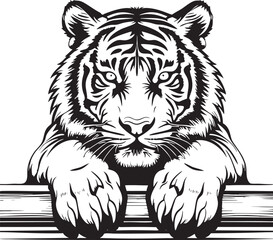 Black and White Tiger Outline Vector Illustration