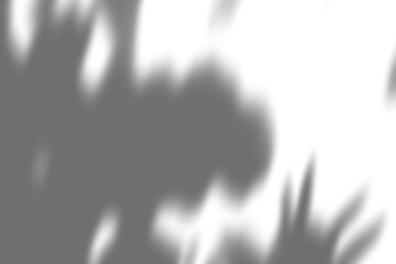 Realistic Leaf Shadow Overlay