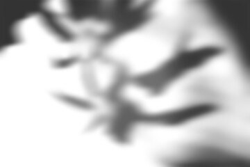 Realistic Leaf Shadow Overlay