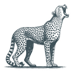 Cheetah vector