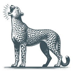 Cheetah vector