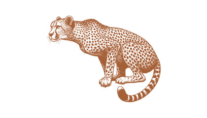 Cheetah vector