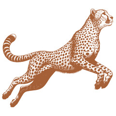Cheetah vector