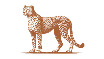 Cheetah vector