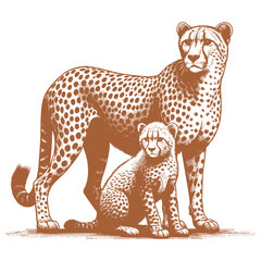 Cheetah vector
