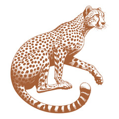 Cheetah vector