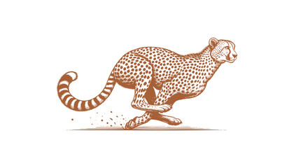 Cheetah vector
