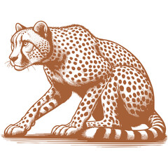 Cheetah vector