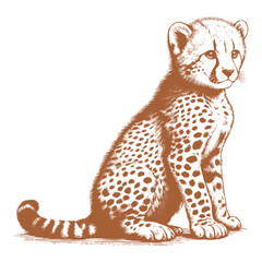 Cheetah vector