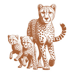 Cheetah vector