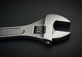 Obraz premium A wren perched on a blossoming branch