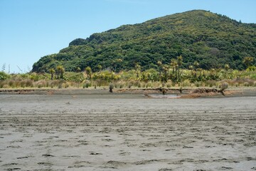 Whatipu Beach with View Toward the Land – Coastal Dunes and Rugged Landscape in New Zealand