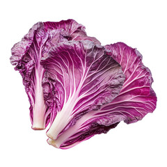 Obraz premium Fresh purple Chinese cabbage on Transparent background showcasing vibrant colors and textures, purple chinese cabbage on PNG background