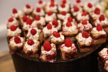 miniature deserts