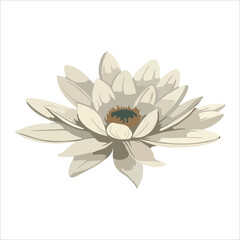 Elegant White Lotus Flower Illustration
