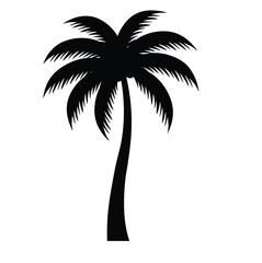 Fototapeta premium Coconut tree silhouette. This image shows a black silhouette of a coconut palm tree with detailed fronds and a sturdy trunk, symbolizing tropical nature. Vector clipart black illustration design.