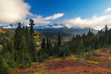 Autumn hues with the Tatoosh Range in Mount Rainier National Park, Washington State, USA