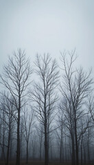 Moody misty forest scene features bare trees softly shrouded in fog.. AI Generated