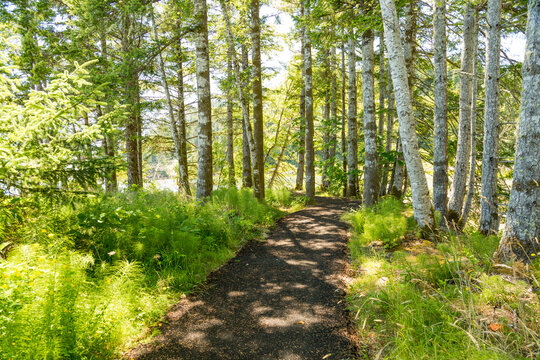 Washington State, Megler. Walk along the North Shore of the Columbia River.