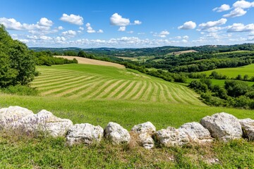 Obraz premium A picturesque lavender field in Provence, France, stretching to the horizon under a warm summer sky