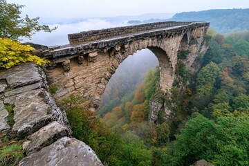 Fototapeta premium A ruined fortress deep in the Transylvanian mountains, covered in fog and surrounded by endless wolves
