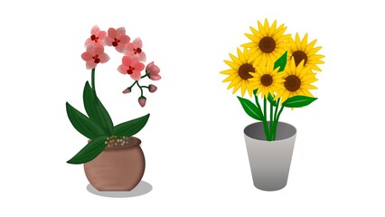 Two elegant flower bouquets isolated on a white background, perfect for wedding invitations, greeting cards, or floral-themed design projects.