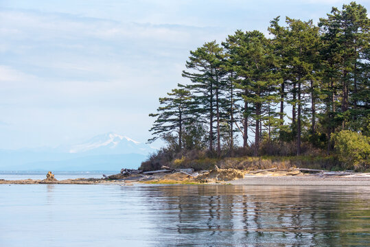USA, San Juan Islands, Washington State. Patos Island, Mount Baker, Salish Sea.