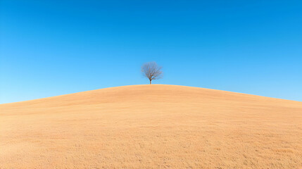 Solitary tree on sand dune under blue sky minimalist nature landscape photography