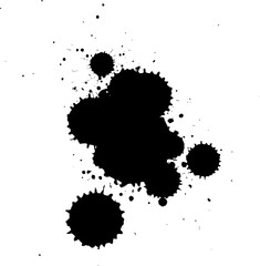 Fototapeta premium black ink brush dropping splatter splash on white background
