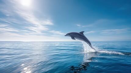 Fototapeta premium Majestic Dolphin Leaps High Above Ocean Waves Under a Sunny Sky
