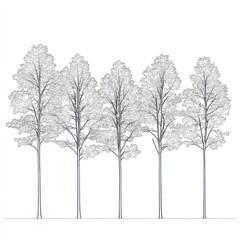 Obraz premium set of trees vector