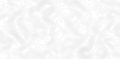 Abstract topography pattern lines sea map area space geometric strip grid line topo map technology modern design white background.	