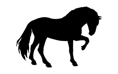 silhouette of a horse running majestically