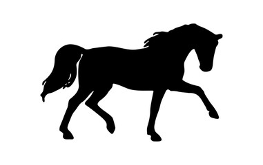 silhouette of a horse running majestically