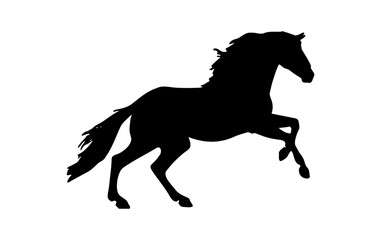 silhouette of a horse running majestically