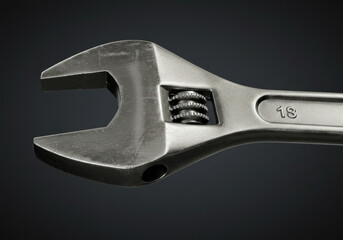 A wren perched on a blossoming branch in a vibrant garden.