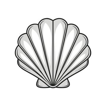 Scallop shell Vector art and illustration, Scallop silhouette