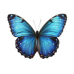 Fototapeta premium Vibrant blue butterfly isolated on white background showcasing intricate wing patterns and colors, Blue butterfly isolated on white background