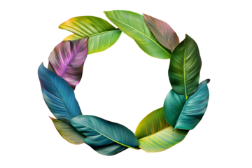 Tropical leaf border frame made surrounded in circle with various fresh green, yellow, purple, blue leaves. Isolated on cut out PNG or transparent background. Top view. Greeting cards. Minimal summer.