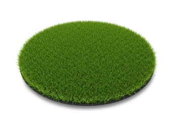 Green Grass Circle Patch Isolated on White Background