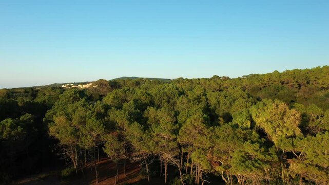 The Greek countryside surrounding Arkoudi in Europe, Greece, Peloponnese, in summer on a sunny day.&nbsp;